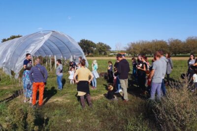 Agrandir l'image 4 sur 10, fenêtre modale